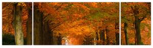 Obraz cesty lesom na jeseň (Obraz 170x50cm)