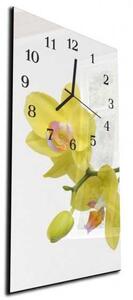 Nástenné hodiny orchidea 30x60cm XI - kalené sklo