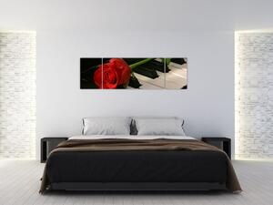 Obraz ruže na klavíri (Obraz 170x50cm)