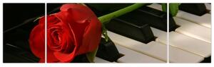 Obraz ruže na klavíri (Obraz 170x50cm)