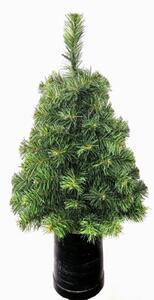 Limpol Vianočný stromček malý 0,6 m v črepníku