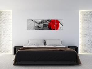 Obraz ruže s červeným kvetom (Obraz 170x50cm)