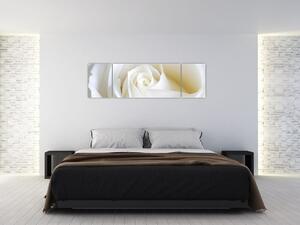 Obraz biele ruže (Obraz 170x50cm)