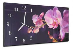 Nástenné hodiny orchidea 30x60cm XIX - plexi