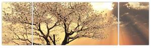 Obraz prírody - strom (Obraz 170x50cm)