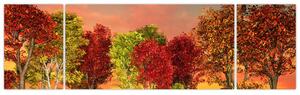 Obraz prírody - farebné stromy (Obraz 170x50cm)