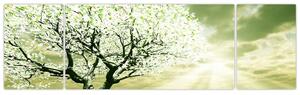Jarný strom - moderný obraz (Obraz 170x50cm)
