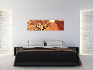 Obraz prírody - strom (Obraz 170x50cm)