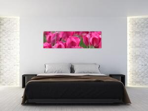 Obraz tulipánov (Obraz 170x50cm)
