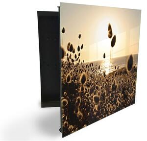 Glasdekor skrinka na kľúče - trávy v západu slnka pri mori - Ľavé / Čierna