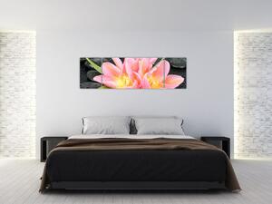 Obraz kvetov (Obraz 170x50cm)