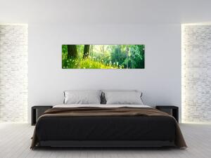 Moderné obrazy prírody (Obraz 170x50cm)