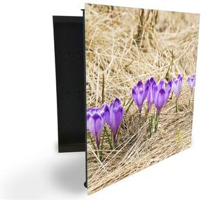 Glasdekor skrinka na kľúče - kvety fialovej krókusy v suchej tráve - Ľavé / Čierna