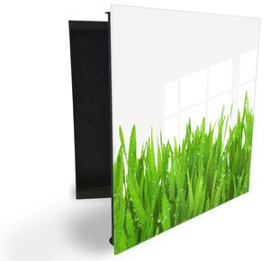 Glasdekor skrinka na kľúče - orosená jarná tráva na bielom podklade - Pravé / Čierna