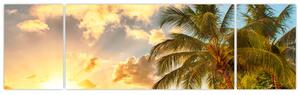 Obraz palmy na piesočnatej pláži (Obraz 170x50cm)