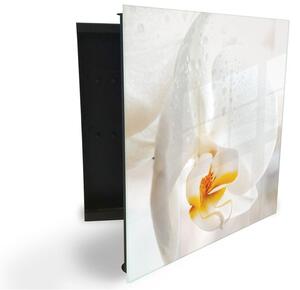 Glasdekor skrinka na kľúče - detail kvetu biela orchidea - Ľavé / Čierna