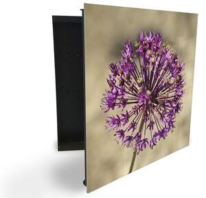 Glasdekor skrinka na kľúče - fialový kvet cesnaku - Pravé / Biela
