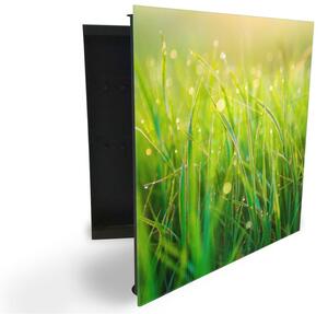 Glasdekor skrinka na kľúče - detail orosenej trávy v rannom slnku - Ľavé / Čierna