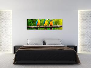 Moderný obraz - papagáje (Obraz 170x50cm)
