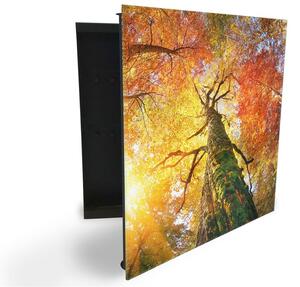 Glasdekor skrinka na kľúče - koruna stromu jeseň - Ľavé / Čierna