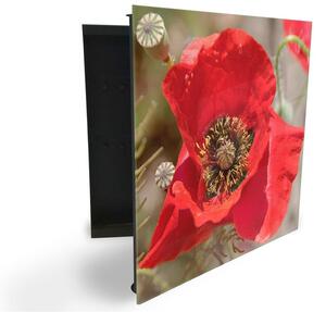 Glasdekor skrinka na kľúče - detail červený kvet vlčí mak - Pravé / Čierna