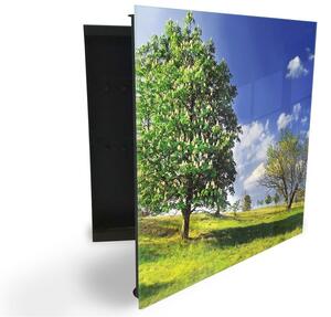 Glasdekor skrinka na kľúče - jarná lúka stromy - Ľavé / Čierna