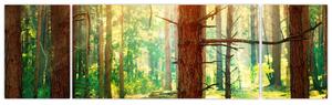 Moderný obraz - les (Obraz 170x50cm)