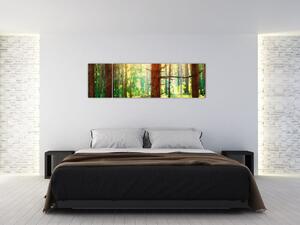 Moderný obraz - les (Obraz 170x50cm)