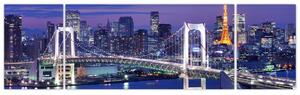 Obraz osvetleného mosta (Obraz 170x50cm)