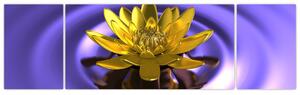 Obraz kvetu vo vode (Obraz 170x50cm)
