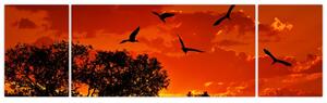 Obraz zapadajúceho slnka s vtákmi (Obraz 170x50cm)