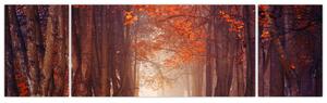 Jesenné les - obraz (Obraz 170x50cm)