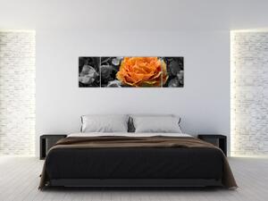 Oranžový kvet na čiernobielom pozadí - obraz (Obraz 170x50cm)