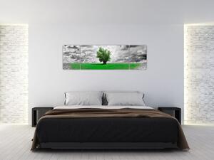 Zelený ostrov vo vyprahnutej krajine - obrazy do obývačky (Obraz 170x50cm)