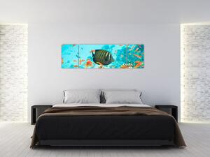 Obraz rýb v akváriami (Obraz 170x50cm)