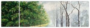 Obraz - leto a zima (Obraz 170x50cm)