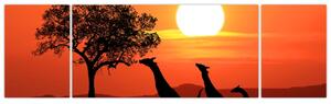 Obraz žirafy pri západe slnka (Obraz 170x50cm)