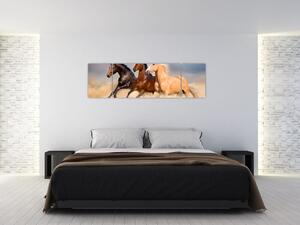 Moderný obraz koní (Obraz 170x50cm)