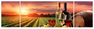 Obraz - víno a vinice pri západe slnka (Obraz 170x50cm)