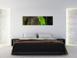 Obraz zeleného papagája (Obraz 170x50cm)