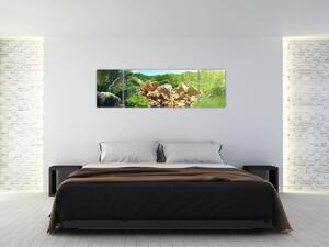 Obraz jazera na Seychelách (Obraz 170x50cm)