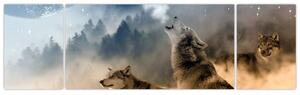 Obraz - vyjící vlci (Obraz 170x50cm)