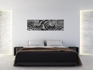 Obraz - zebry (Obraz 170x50cm)