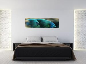 Obraz na stenu - ryby (Obraz 170x50cm)