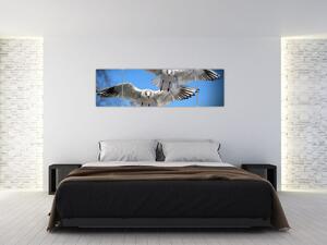 Obraz do bytu - vtáky (Obraz 170x50cm)