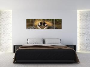 Obraz na stenu - zvieratá (Obraz 170x50cm)