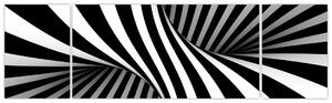 Čiernobiely abstraktný obraz (Obraz 170x50cm)