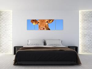 Obraz kravy (Obraz 170x50cm)