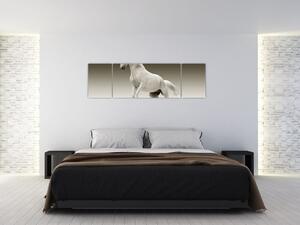 Obrazy bieleho koňa (Obraz 170x50cm)