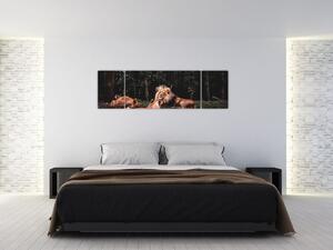 Obrazy - levy v lese (Obraz 170x50cm)